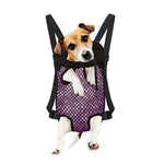 Purple Disco Lights Pattern Print Pet Carrier Backpack
