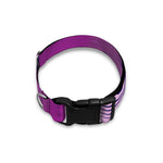 Purple Eye of Providence Print Dog Collar