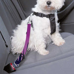 Purple Eye of Providence Print Dog Seat Belt