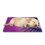 Purple Eye of Providence Print Pet Cooling Mat Cover