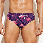 Purple Geometric Flamingo Pattern Print Men's Swim Briefs