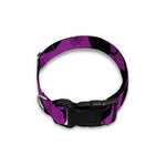 Purple Halloween Coffin Pattern Print Dog Collar