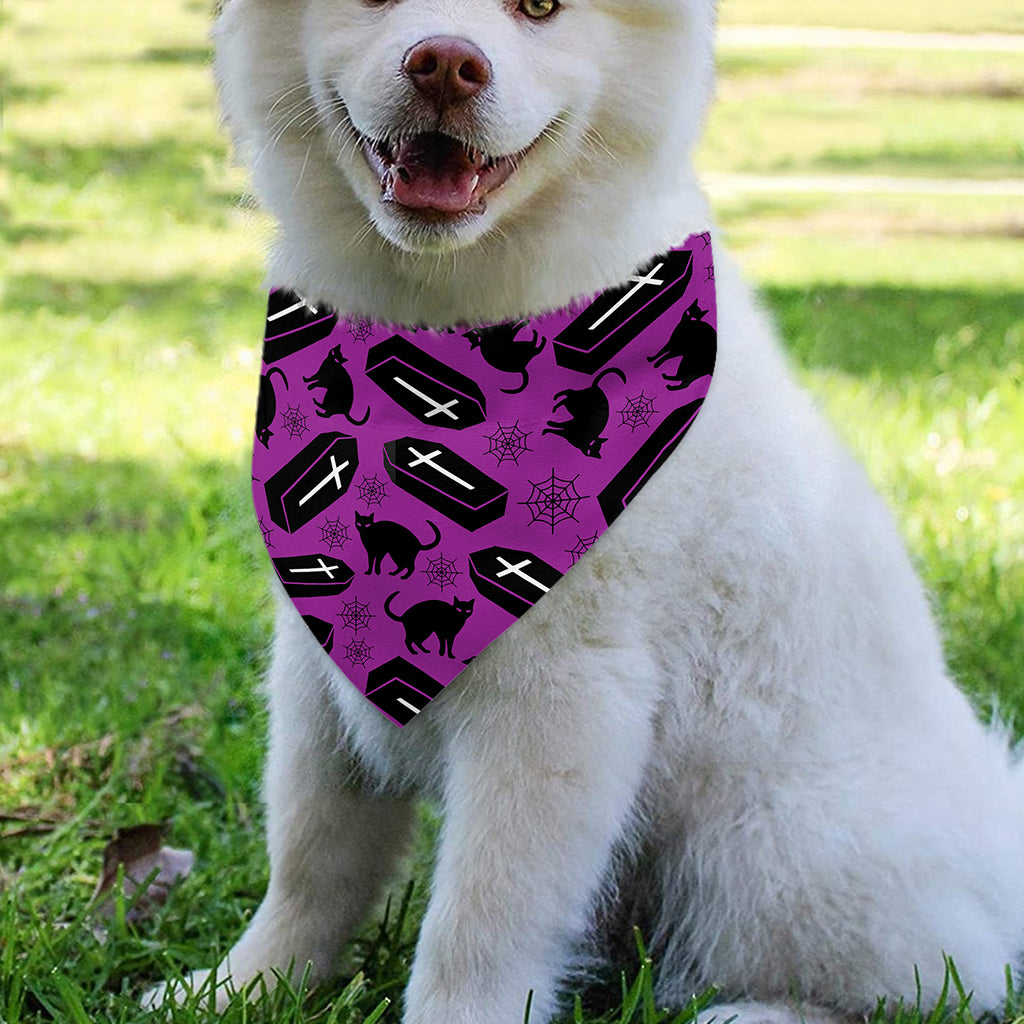 Purple Halloween Coffin Pattern Print Over The Collar Dog Bandana