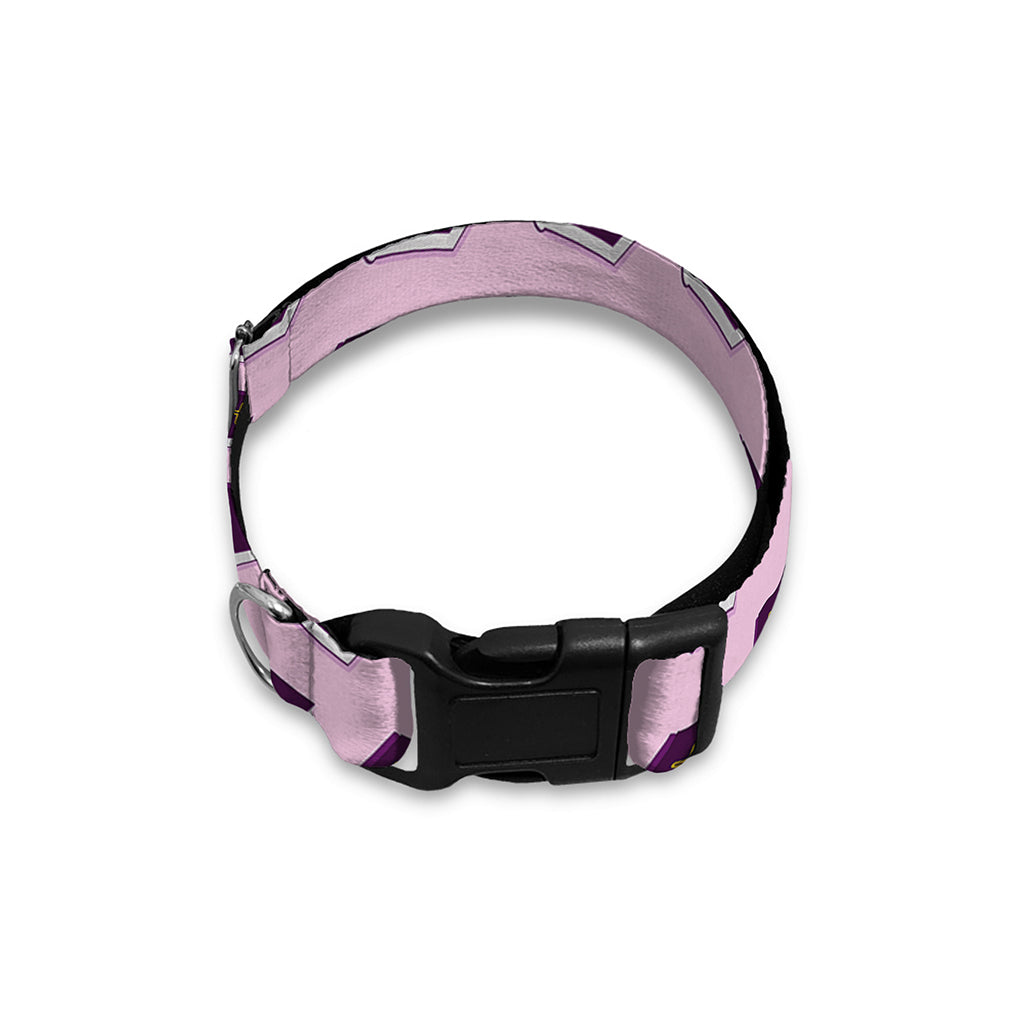 Purple Holy Bible Pattern Print Dog Collar