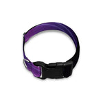 Purple Hyperspace Print Dog Collar