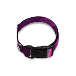 Purple Light Disco Ball Print Dog Collar