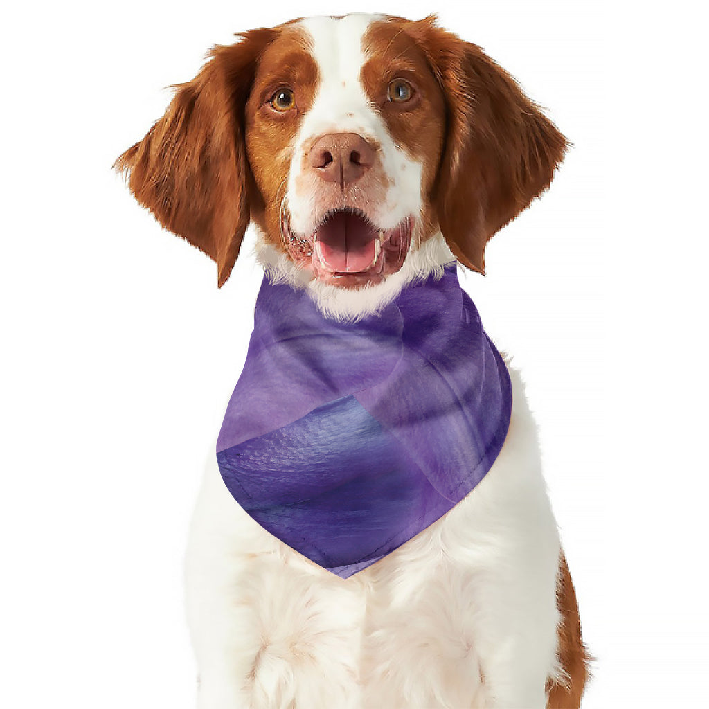 Purple Lily Flower Print Dog Bandana