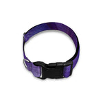 Purple Lily Flower Print Dog Collar