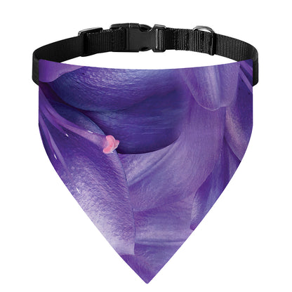 Purple Lily Flower Print Over The Collar Dog Bandana