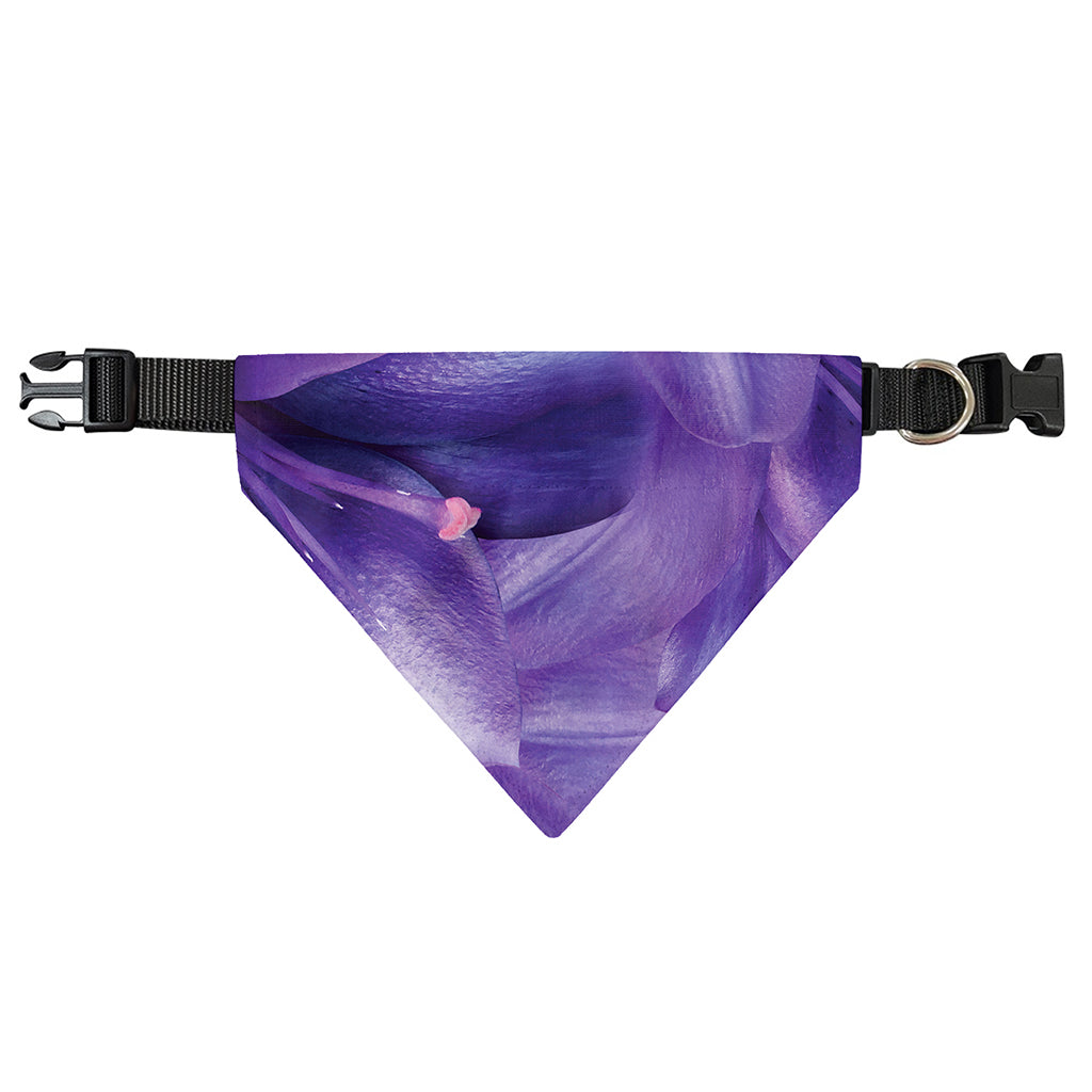 Purple Lily Flower Print Over The Collar Dog Bandana