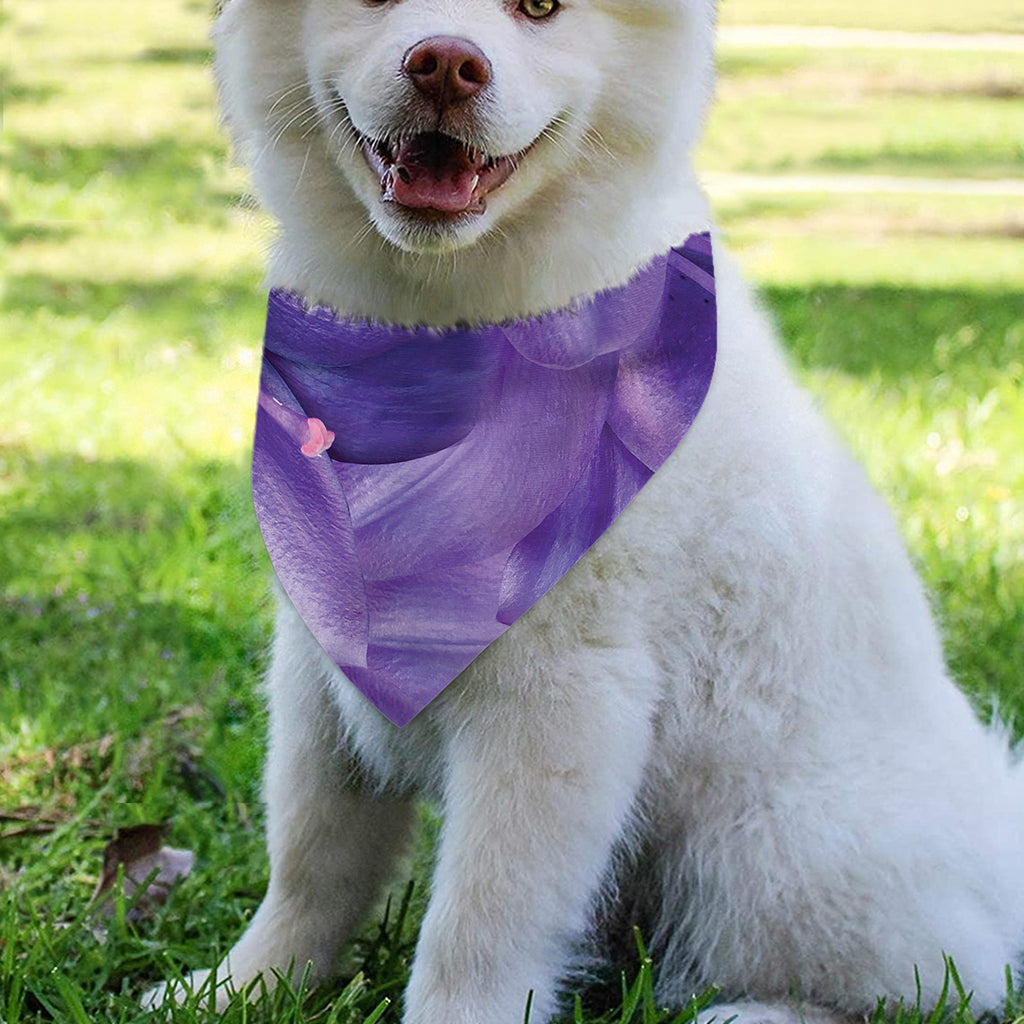 Purple Lily Flower Print Over The Collar Dog Bandana
