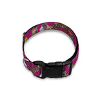 Purple Native Dream Catcher Print Dog Collar
