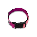 Purple Nebula Cloud Galaxy Space Print Dog Collar