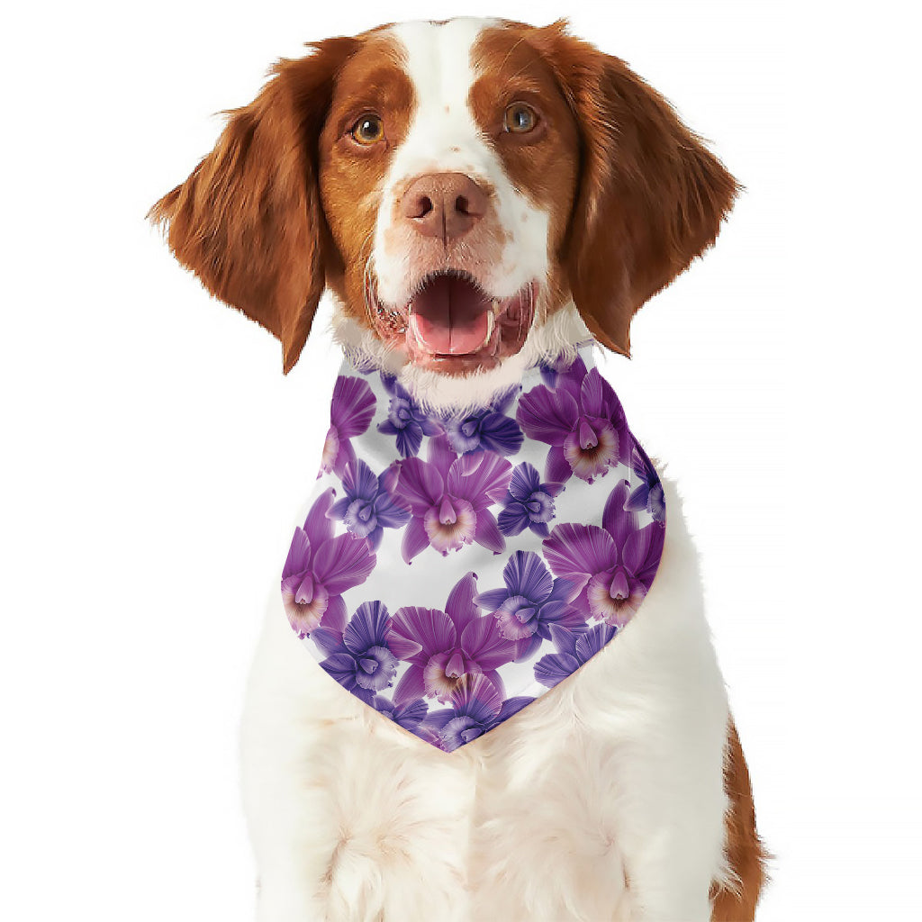 Purple Orchid Flower Pattern Print Dog Bandana