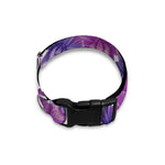 Purple Orchid Flower Pattern Print Dog Collar