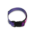 Purple Plasma Ball Print Dog Collar