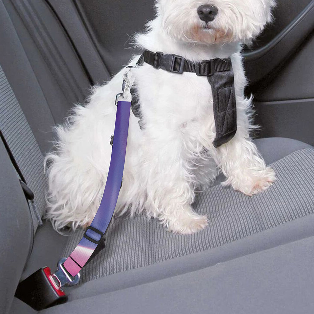 Purple Plasma Ball Print Dog Seat Belt