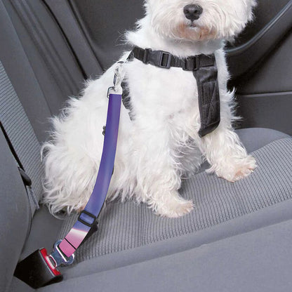 Purple Plasma Ball Print Dog Seat Belt