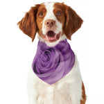 Purple Rose Print Dog Bandana