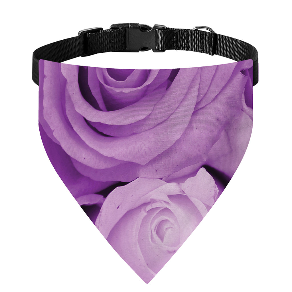 Purple Rose Print Over The Collar Dog Bandana