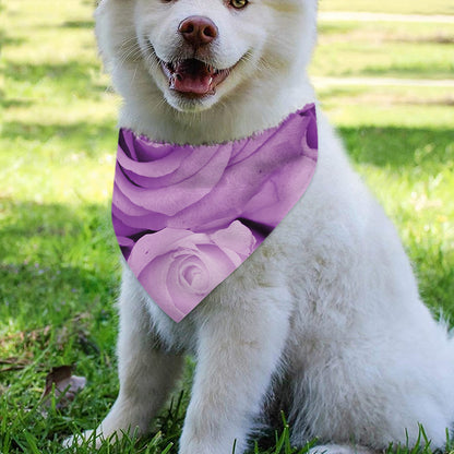 Purple Rose Print Over The Collar Dog Bandana