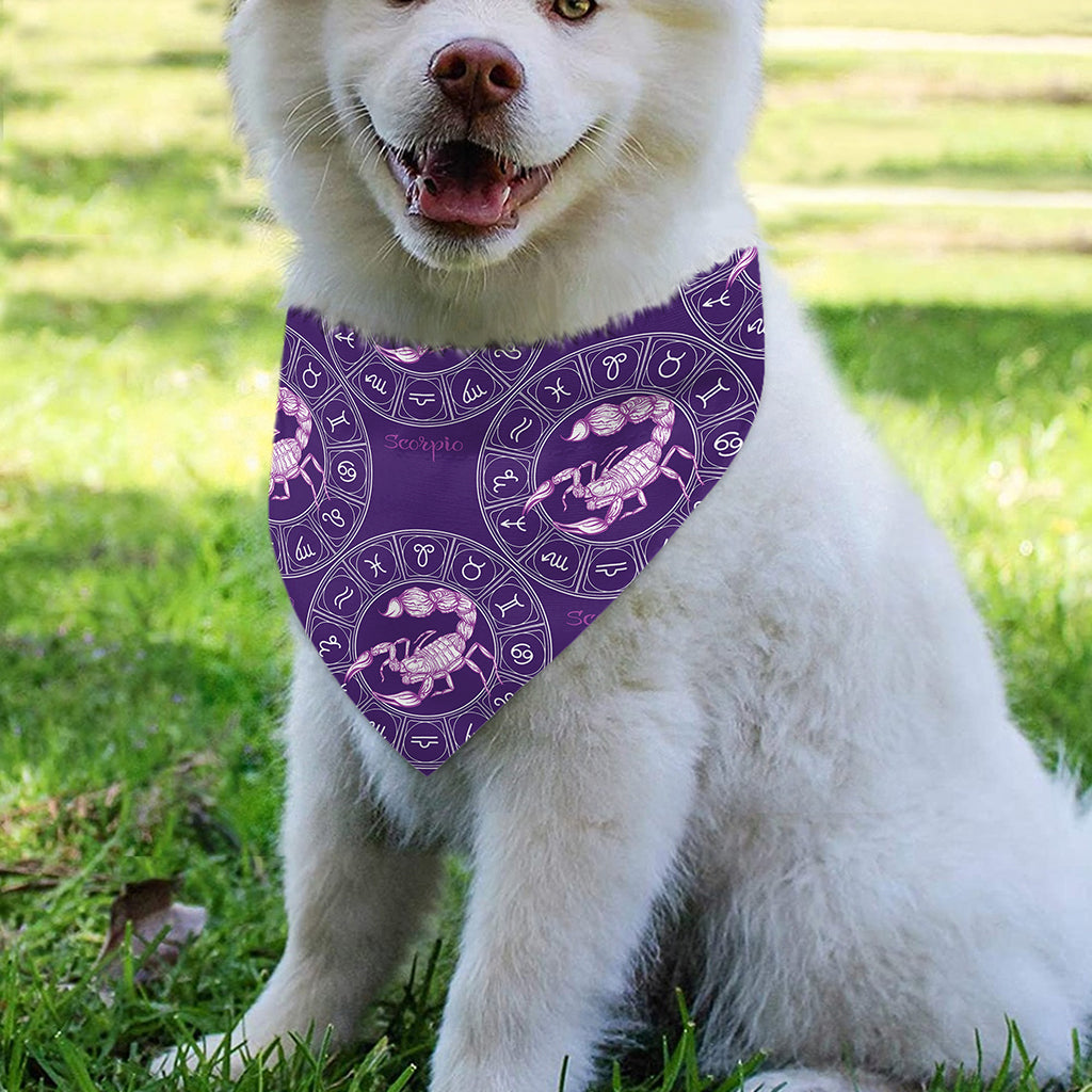 Purple Scorpio Zodiac Pattern Print Over The Collar Dog Bandana