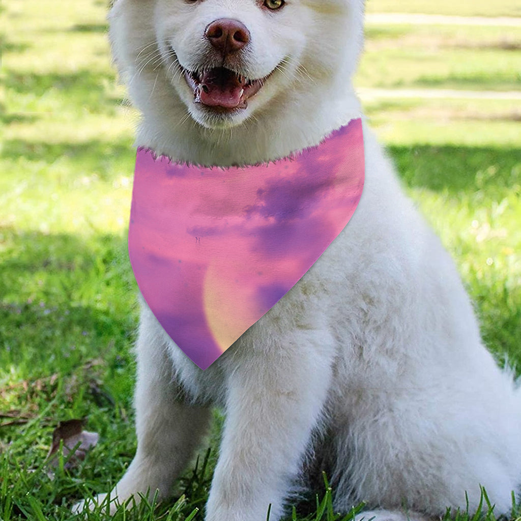 Purple Sky And Full Moon Print Over The Collar Dog Bandana