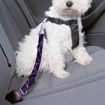 Purple Spider Web Pattern Print Dog Seat Belt