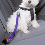 Purple Stardust Cloud Galaxy Space Print Dog Seat Belt