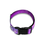 Purple Starfield Galaxy Space Print Dog Collar