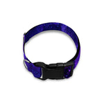 Purple Stars Nebula Galaxy Space Print Dog Collar