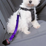 Purple Stars Nebula Galaxy Space Print Dog Seat Belt