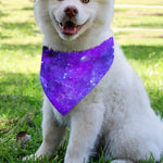 Purple Stars Nebula Galaxy Space Print Over The Collar Dog Bandana