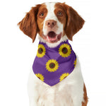 Purple Sunflower Pattern Print Dog Bandana