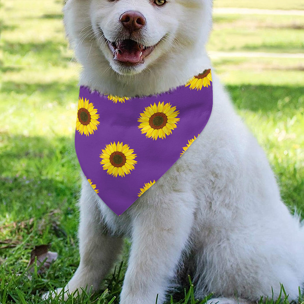 Purple Sunflower Pattern Print Over The Collar Dog Bandana