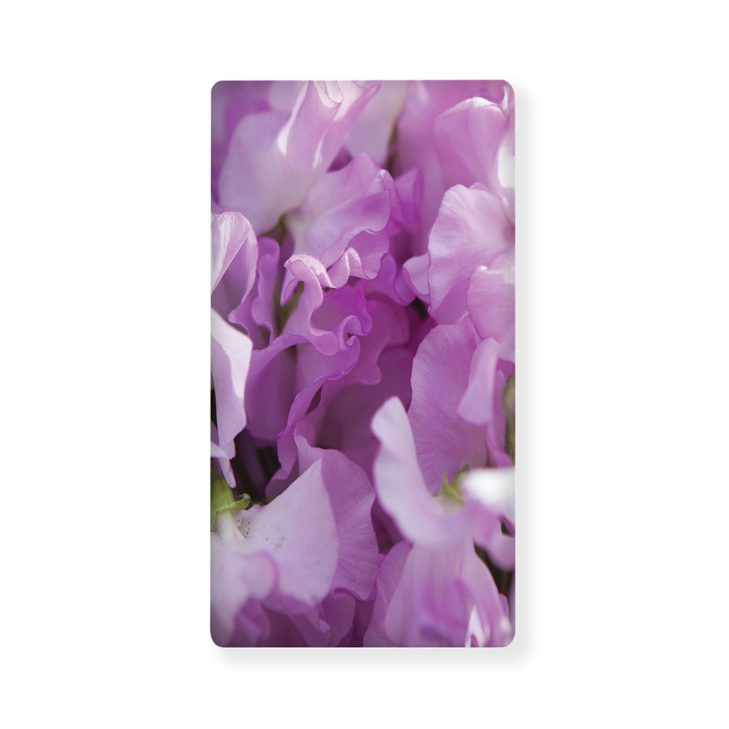 Purple Sweet Pea Print Baby Crib Sheet