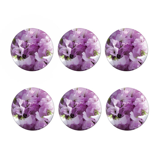 Purple Sweet Pea Print Coaster Set