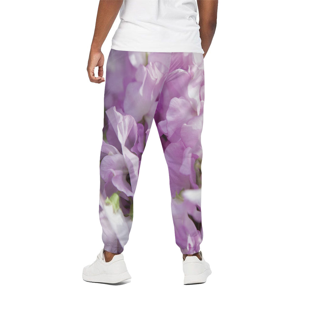 Purple Sweet Pea Print Cotton Pants