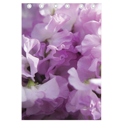 Purple Sweet Pea Print Curtain