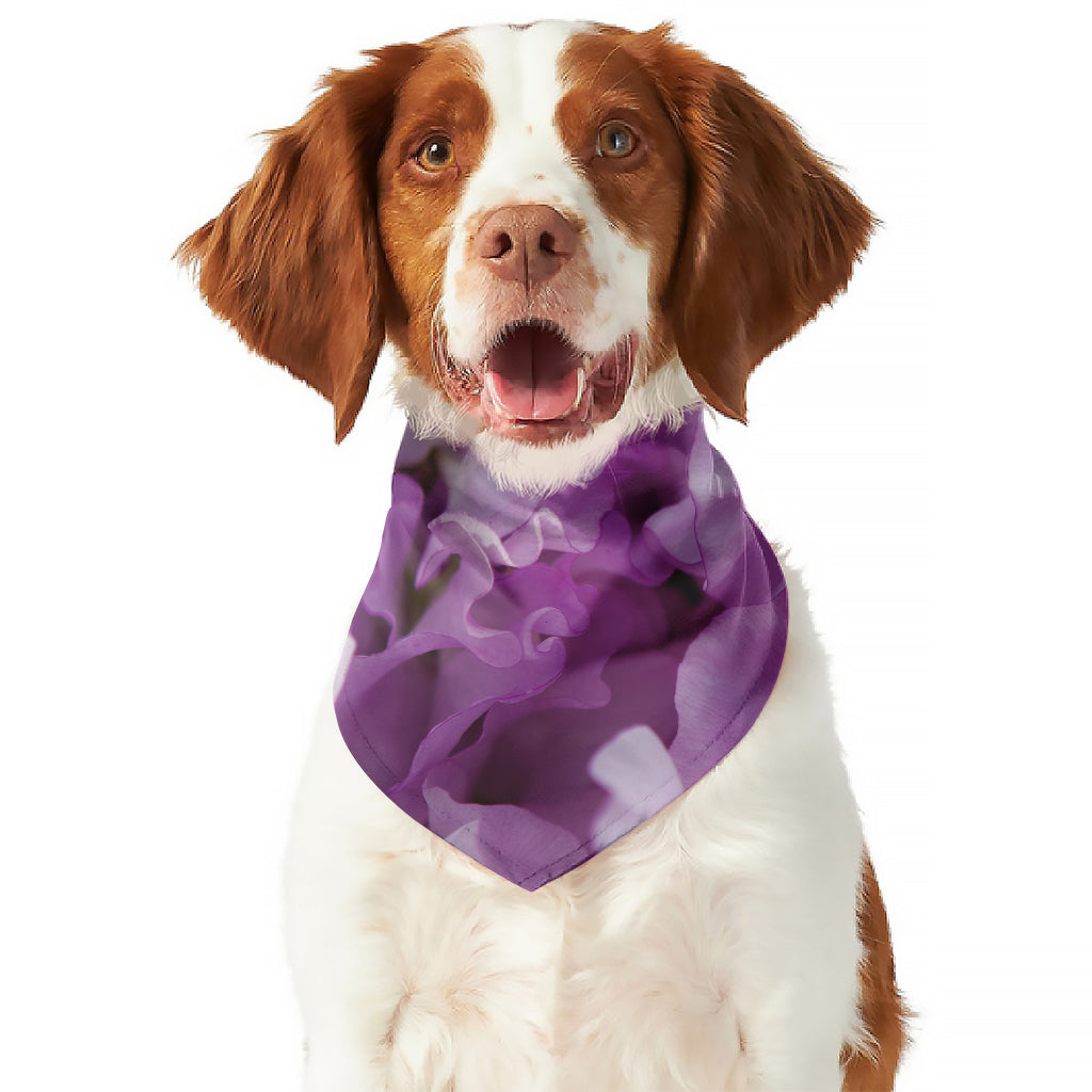 Purple Sweet Pea Print Dog Bandana