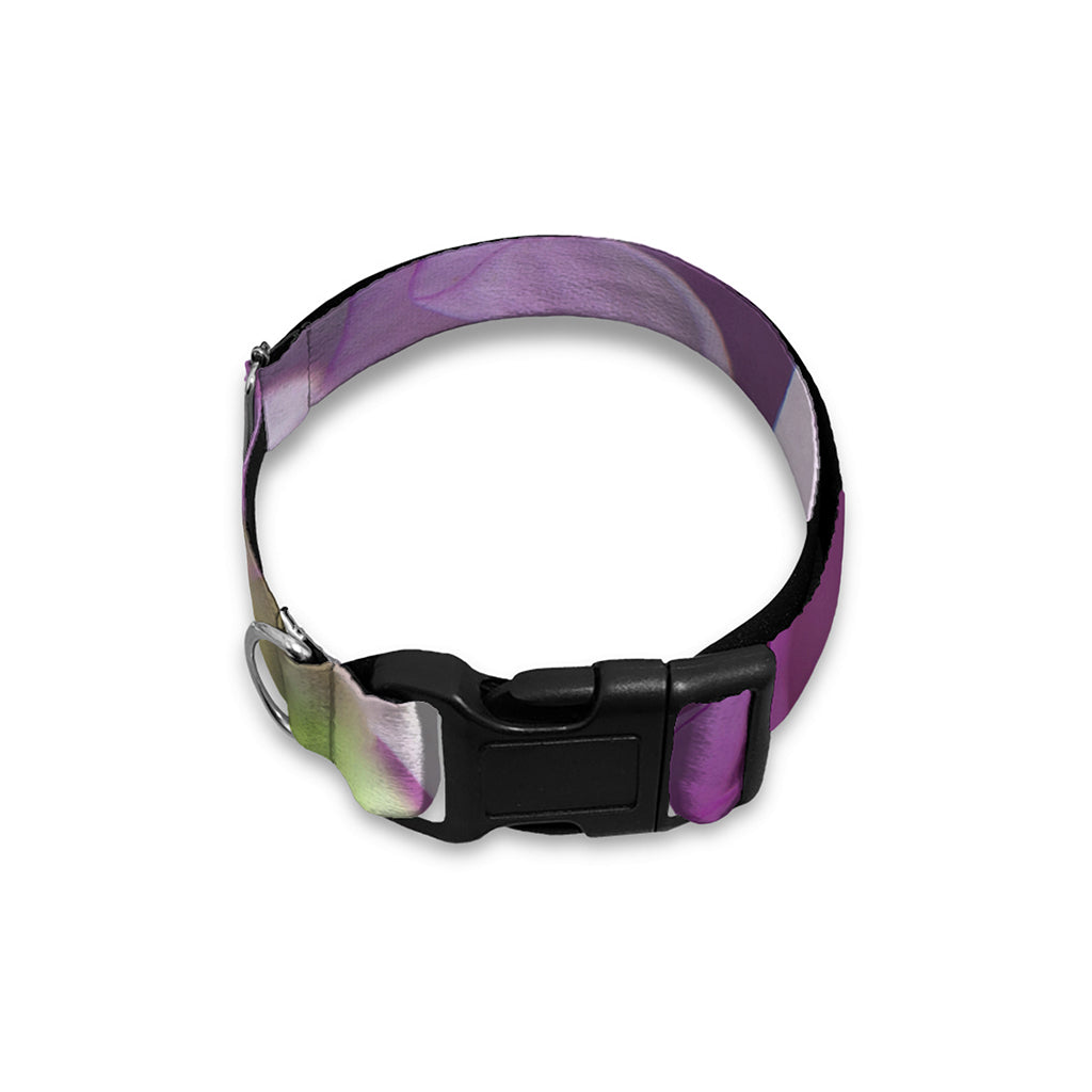 Purple Sweet Pea Print Dog Collar