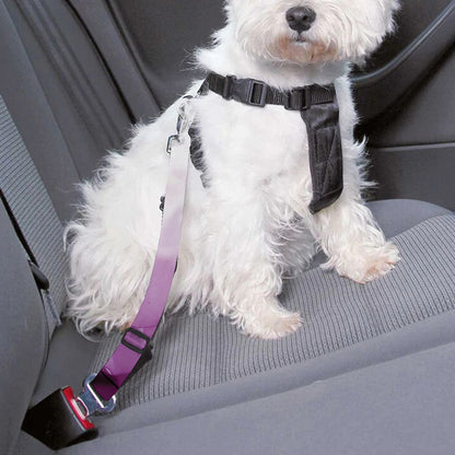 Purple Sweet Pea Print Dog Seat Belt