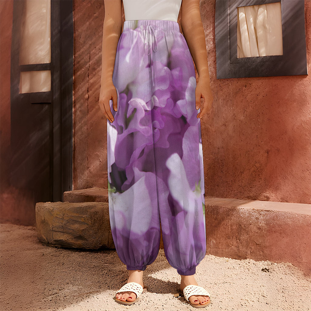 Purple Sweet Pea Print Harem Pants