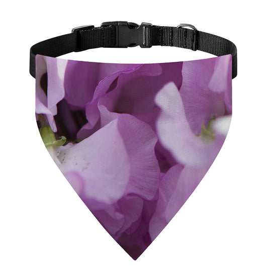 Purple Sweet Pea Print Over The Collar Dog Bandana