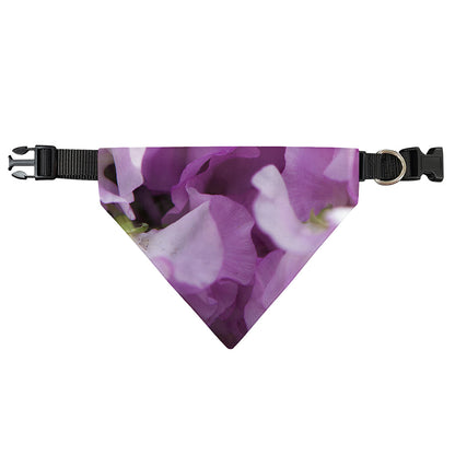 Purple Sweet Pea Print Over The Collar Dog Bandana