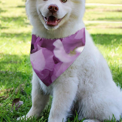 Purple Sweet Pea Print Over The Collar Dog Bandana