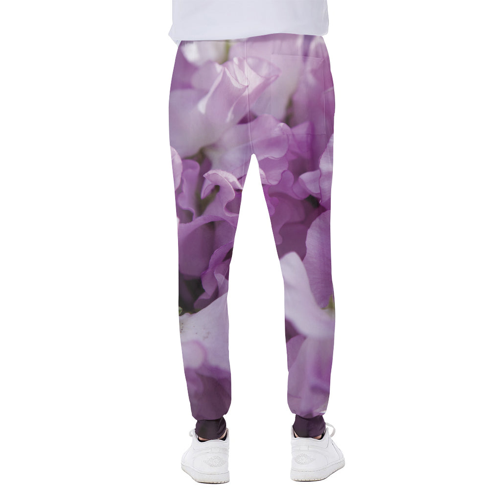 Purple Sweet Pea Print Scuba Joggers