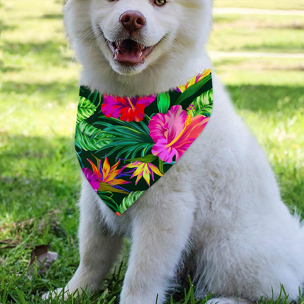 Purple Tropical Pattern Print Over The Collar Dog Bandana