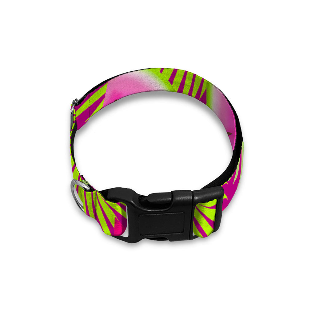 Purple Tropical Watermelon Pattern Print Dog Collar