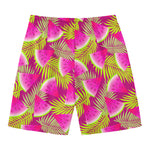 Purple Tropical Watermelon Pattern Print Men's Swim Trunks